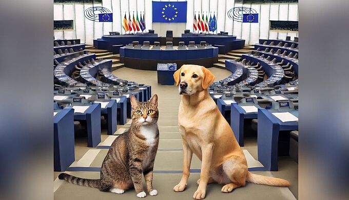Chiens et chats : l’action de la Fondation 30 Millions d’Amis au Parlement européen