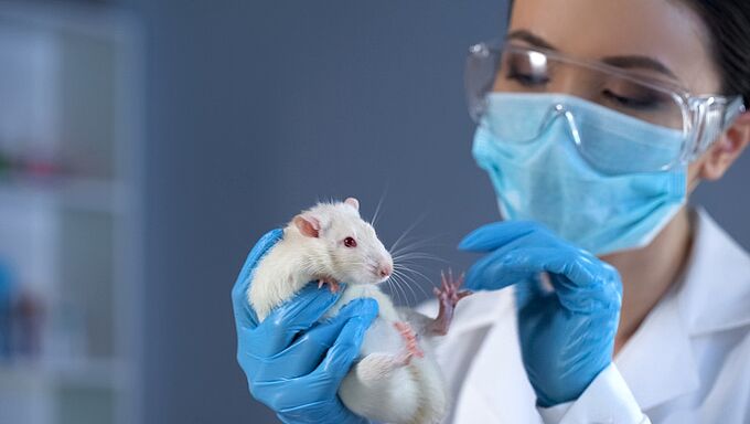 Traitements contre le Covid-19, une recherche sans expérimentation animale ?