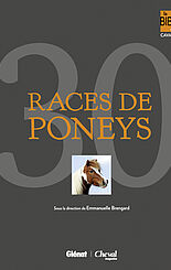 30 races de poneys