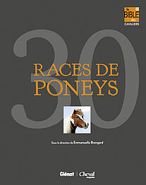 30 races de poneys