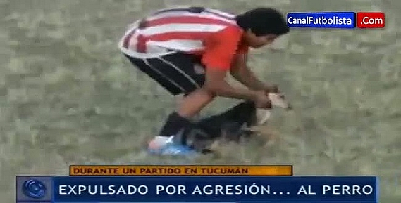 Un footballeur argentin lance un chien : carton rouge ! (Vidéo)