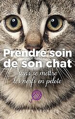 Prendre soin de son chat sans se mettre les nerfs en pelote