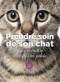 Prendre soin de son chat sans se mettre les nerfs en pelote