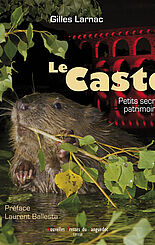 Le castor