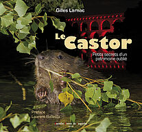 Le castor