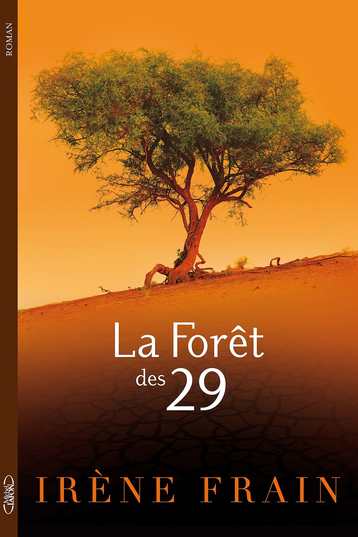 La Forêt des 29
