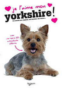 Je l'aime mon yorkshire !