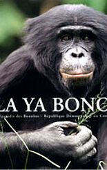 Lola Ya Bonobo