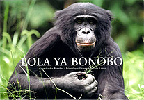 Lola Ya Bonobo