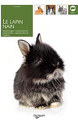 Le lapin nain