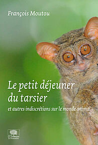 Le petit-déjeuner du tarsier