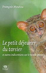 Le petit-déjeuner du tarsier