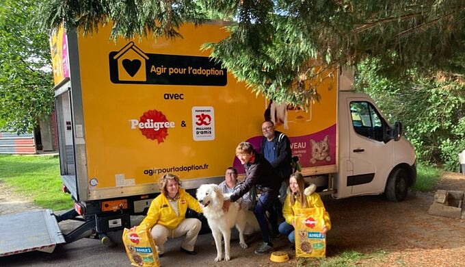 2 millions de repas pour les chiens et chats de refuges grâce à « Agir pour l’adoption »