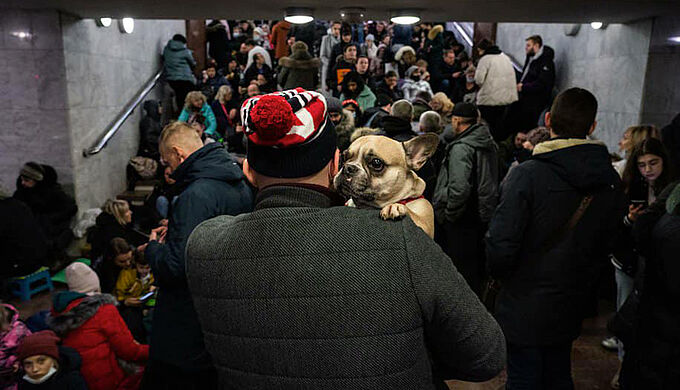 Guerre en Ukraine : la solidarité s’organise pour aider les maîtres et leurs animaux