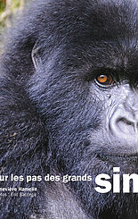 Sur les pas des grands singes