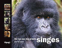 Sur les pas des grands singes