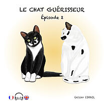 Le chat guérisseur