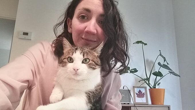 Cette chatte perdue a été retrouvée 2 ans après... au même endroit