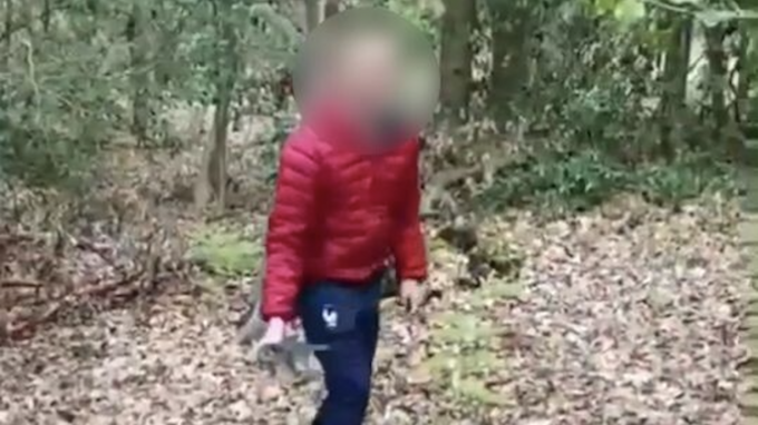 Chatons torturés à mort sur Snapchat : les deux adolescents reconnus coupables