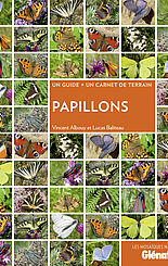 Papillons