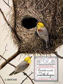 Carnets secrets d’un ornithologue