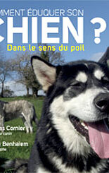 Comment éduquer son chien dans le sens du poil