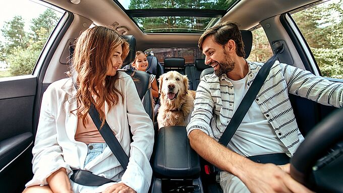Facile de partir en vacances avec son animal grâce à la Fondation