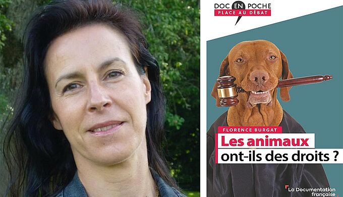 « La condition des animaux ne s’améliore pas : elle s’aggrave ! »