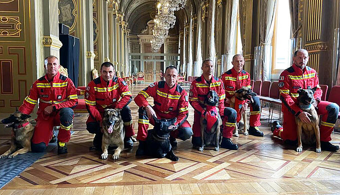 Nina, Lobo, Loki... « chiens héros » de 2022
