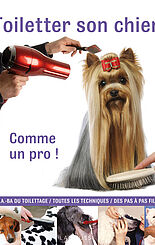 Toiletter son chien comme un pro