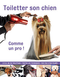 Toiletter son chien comme un pro