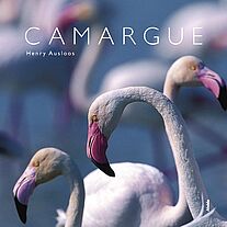 Camargue