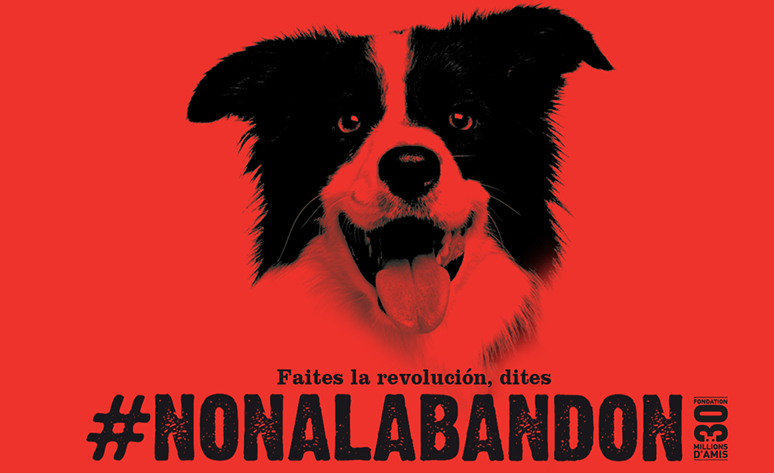 Faites la revoluçion, dites #NONALABANDON