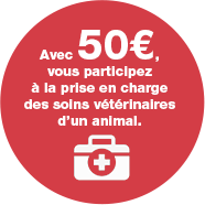 Avec 50 €, vous participez à la prise en charge des soins véténiraires d'un animal.