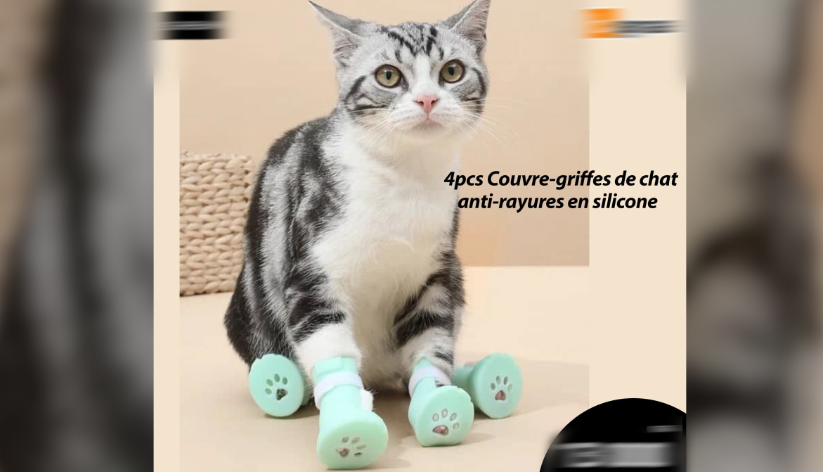 Protection Canapé Chat Chien Anti Griffe Porte Protège 4Pcs