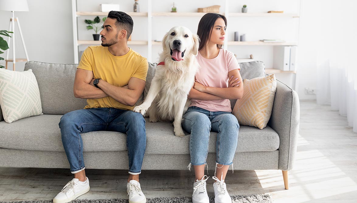 Divorce : l'intérêt de l'animal mieux pris en compte par les juges ? Animaux passion DIVORCE 02 Divorce : l'intérêt de l'animal mieux pris en compte par les juges ?