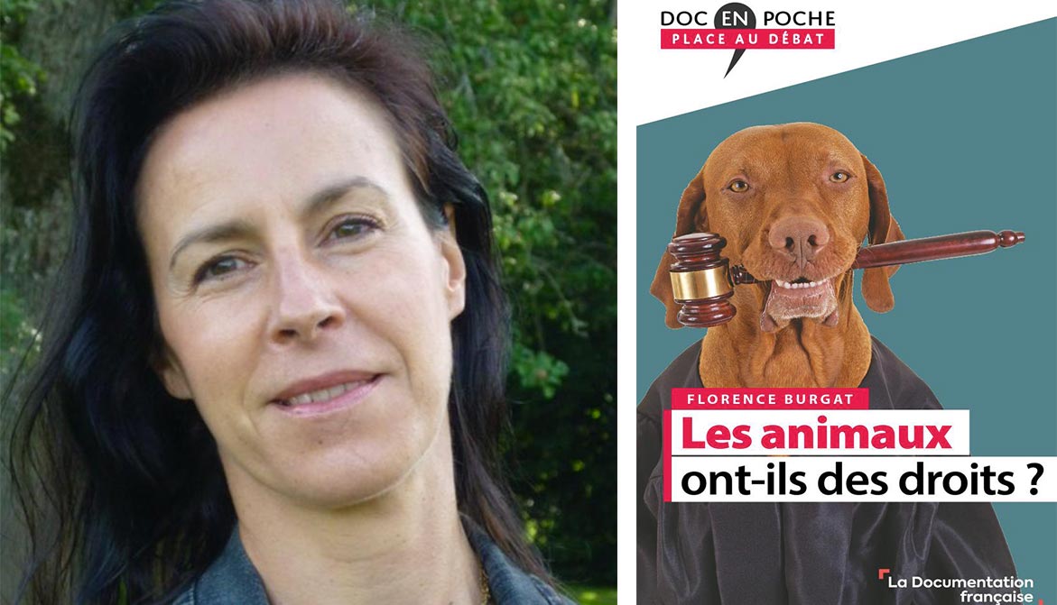 « La condition animale ne s’améliore pas : elle s’aggrave ! » Animaux passion burgat def 05 « La condition animale ne s’améliore pas : elle s’aggrave ! »