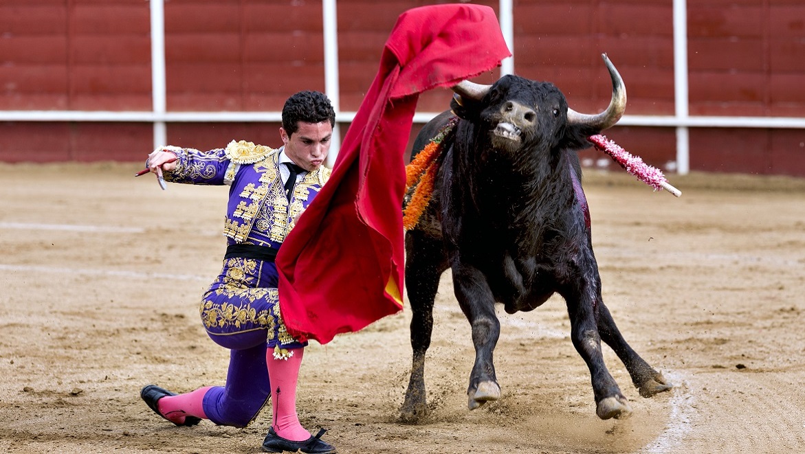 Corrida Page De Garde www.30millionsdamis.fr