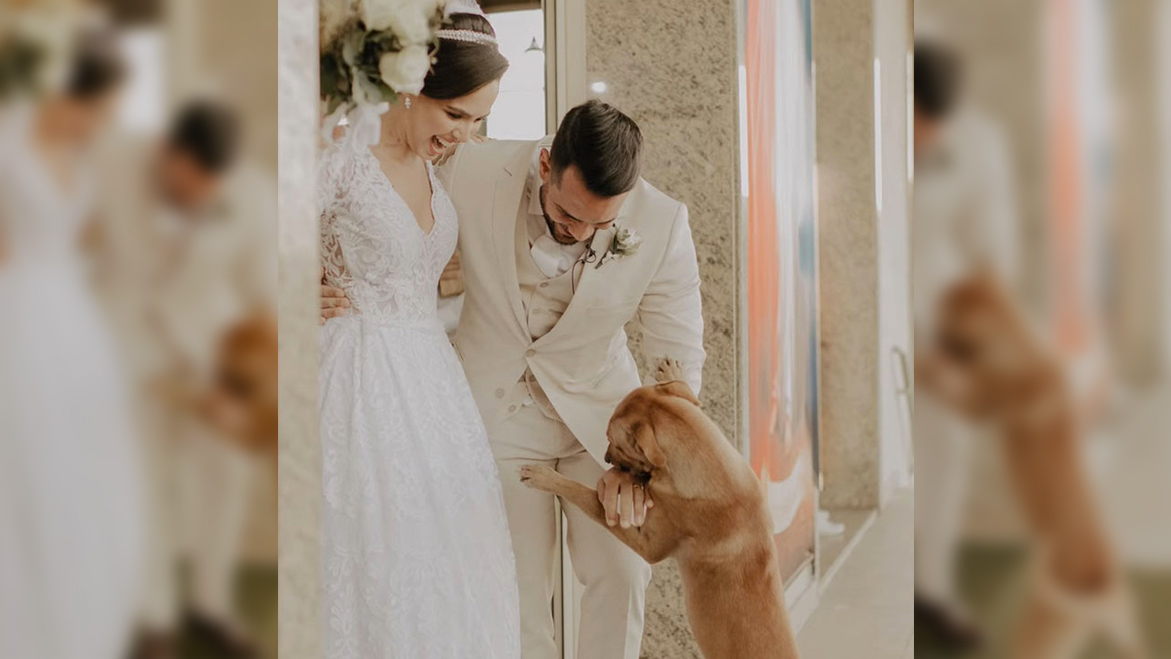 5 belles histoires d’animaux qui vous ont émus en 2022 Animaux passion mariag 02 5 belles histoires d’animaux qui vous ont émus en 2022