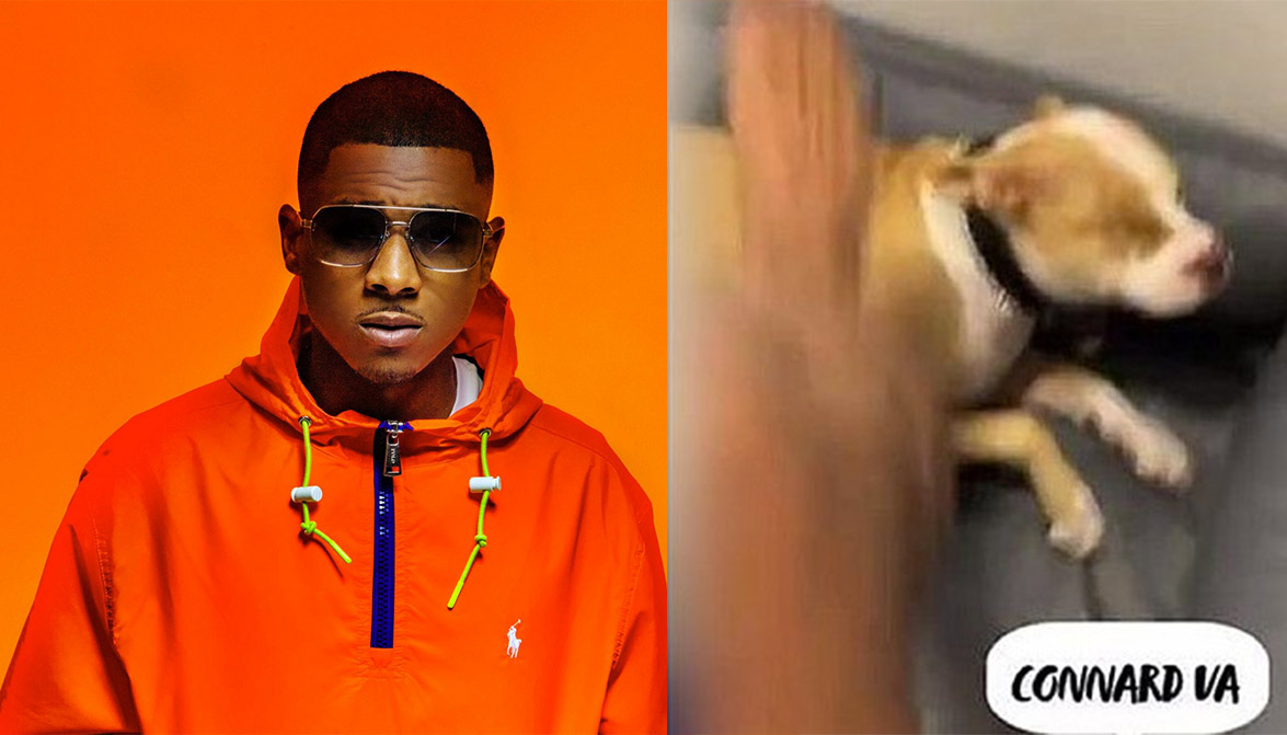 Le rappeur Timal condamné suite à la plainte de la Fondation 30 Millions d’Amis Animaux passion timal 02 Le rappeur Timal condamné suite à la plainte de la Fondation 30 Millions d’Amis
