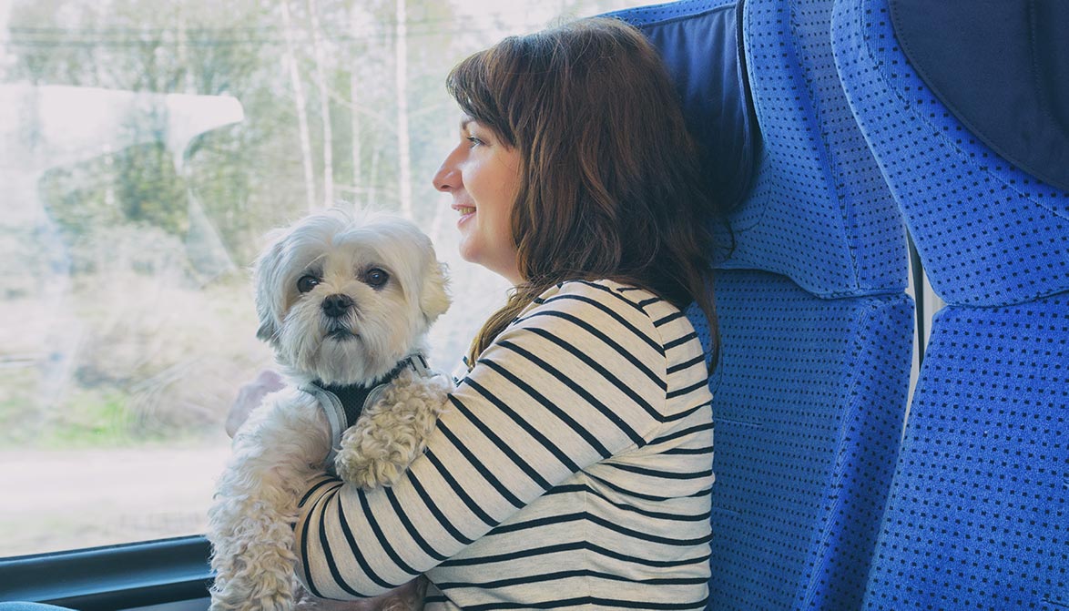 train 05 Vacances entre amis : les voyages en train avec son animal désormais plus faciles